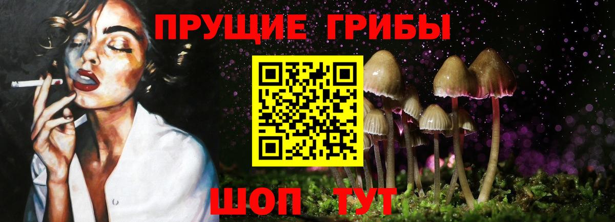 Вятские Поляны  Псилоцибиновые грибы Cubensis  Псилоцибиновые грибы Magic Shrooms  Вход с VPN 
